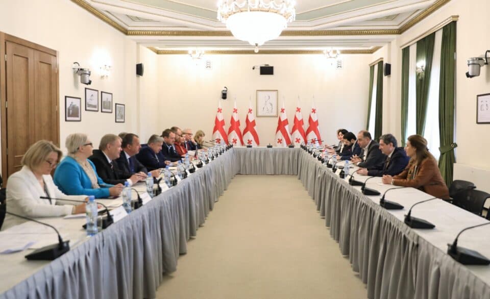 ირაკლი ჩიქოვანი ჩეხეთის რესპუბლიკის საპარლამენტო დელეგაციის წევრებს შეხვდა