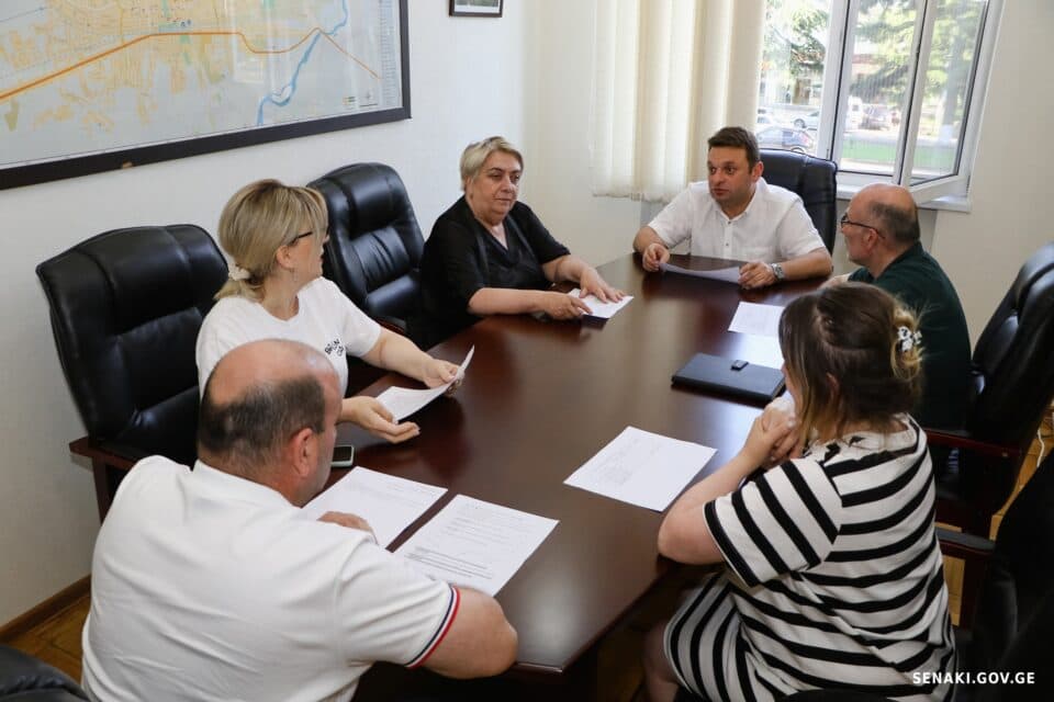 სამოქალაქო ბიუჯეტირების პროგრამის ფარგლებში, სენაკში, სამი პროექტი განხორციელდება
