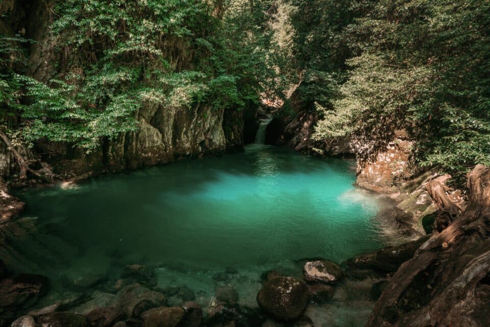 აღმოაჩინე სამეგრელო, აღმოაჩინე სვანეთი – სამხარეო ადმინისტრაციის ახალი პროექტი