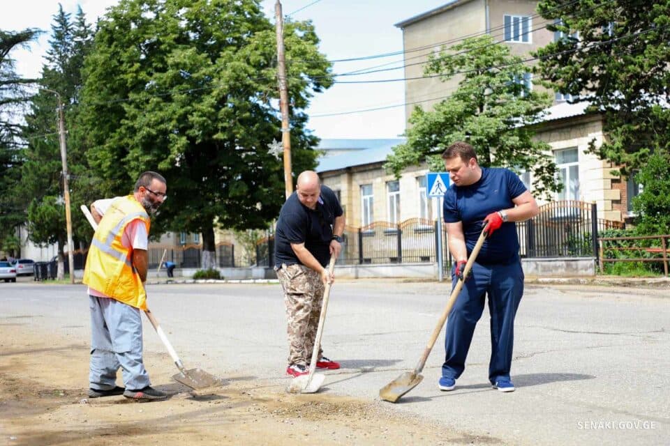 სენაკის მერი დასუფთავების აქციაში ჩაერთო