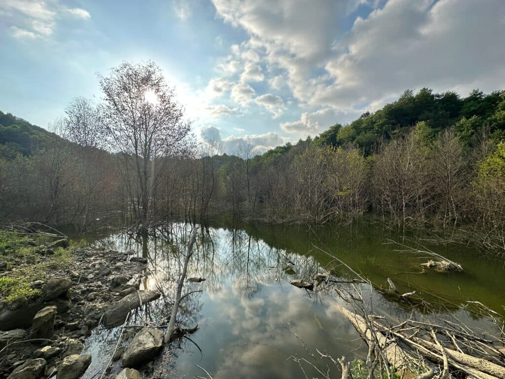 მდინარე ტებეს ხეობაში გეოლოგები იმყოფებოდნენ – სპეციალისტების პირველადი განმარტებით ამ დროისთვის Საფრთხის დონე დაბალია - image 2