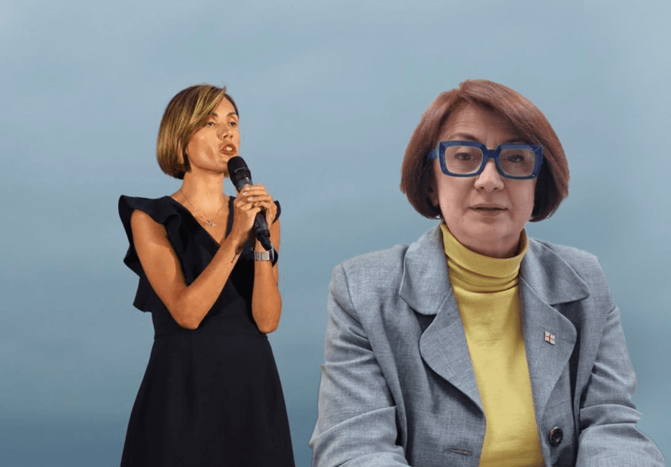 ანაკლიაში ენმ-ის შეხვედრის ინციდენტს პარტიის ლიდერები ეხმაურებიან