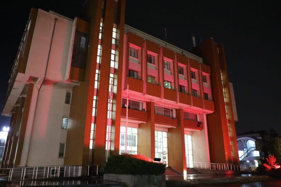 ოცნების ქალთა ორგანიზაცია ,,ვარდისფერი ოქტომბრის“ ფარგლებში ღონისძიებებს მართავს