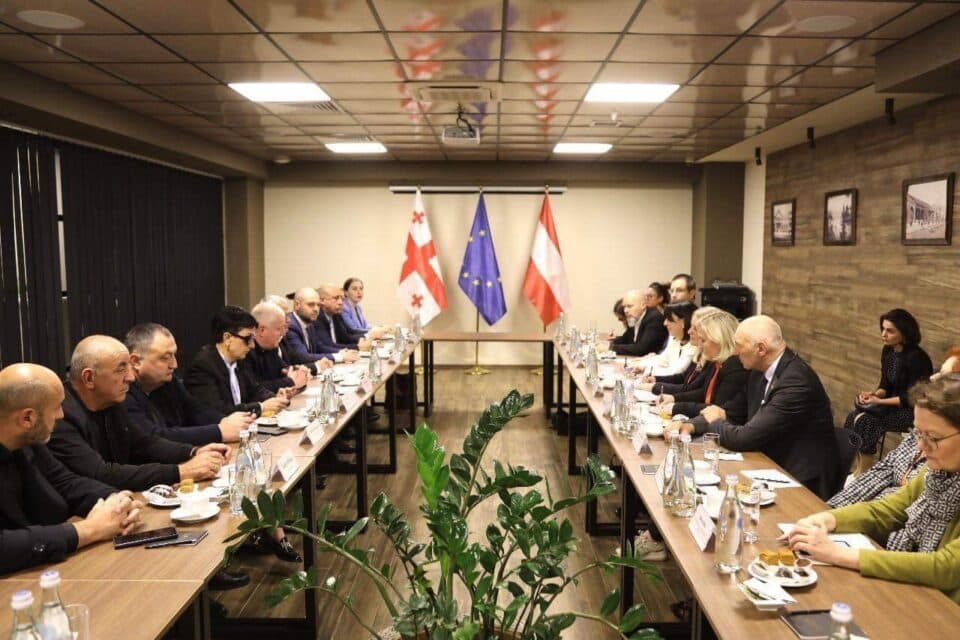 ავსტრიის პარლამენტის ფედერალური საბჭოს პრეზიდენტი სახელმწიფო რწმუნებულს და ზუგდიდის მერს შეხვდა