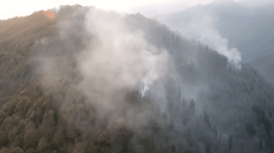 ჩხოროწყუში ხანძრის კერაში ამაღამ მაშველების ცოცხალი ძალა რჩება