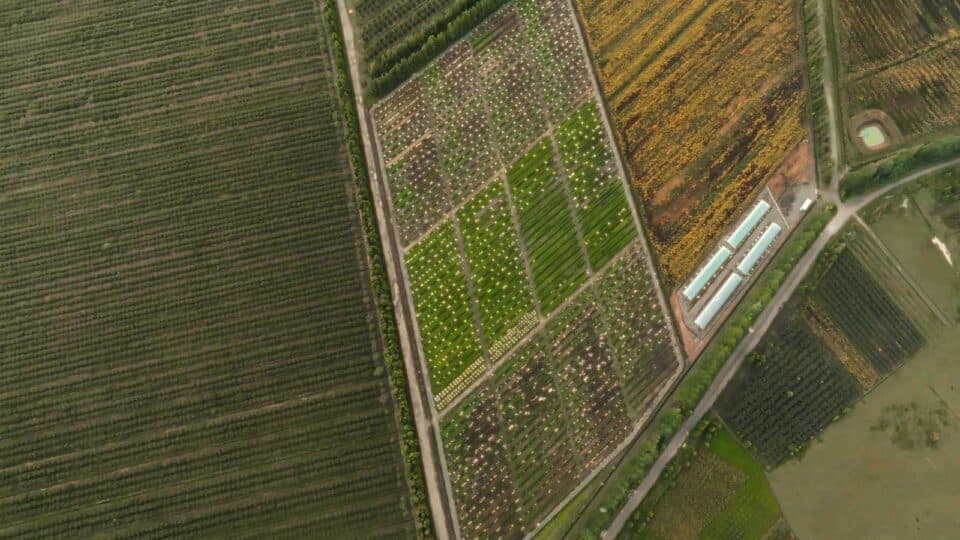 რა გაკეთდა სამეგრელოში 2013 წლიდან დღემდე