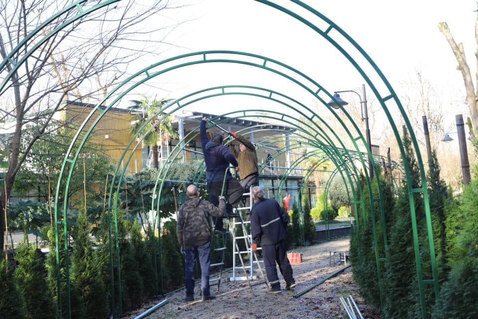 ზუგდიდის ბოტანიკურ ბაღს კიდევ ერთი ხეივანი-თაღედი შეემატა