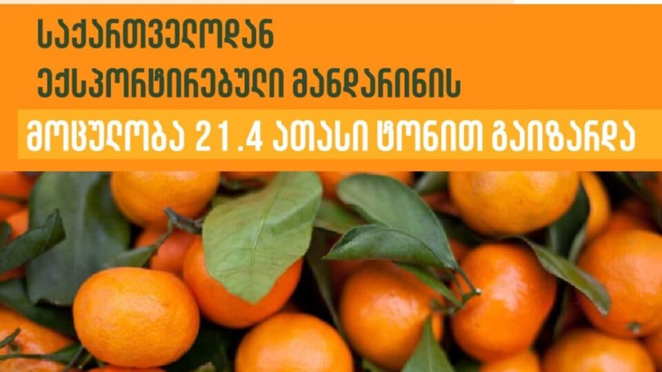 ექსპორტზე გასულ წელთან შედარებით 21,4 ათასი ტონით მეტი მანდარინი გავიდა