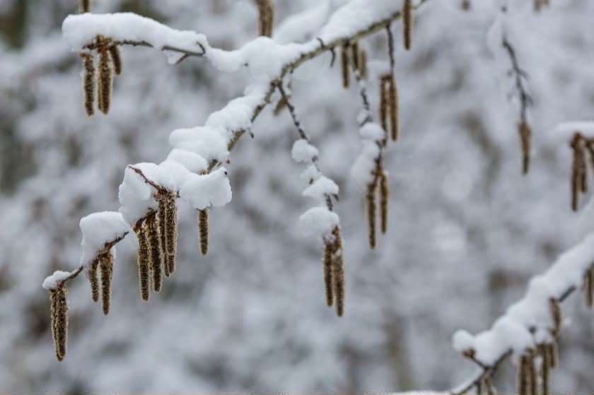 სინოპტიკოსების პროგნოზით, საქართველოში ამინდი მკვეთრად გაუარესდება
