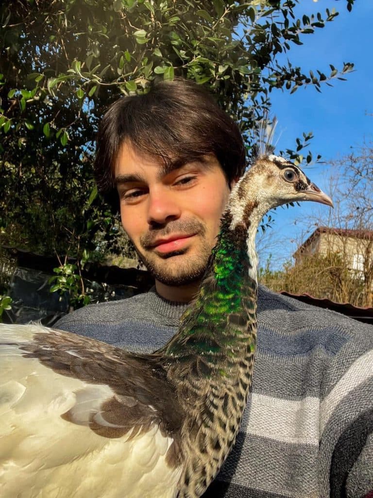 ახალგაზრდა ფერმერი სენაკიდან – იშვიათი ჯიშის ფრინველებით [ფოტორეპორტაჟი] - image 4