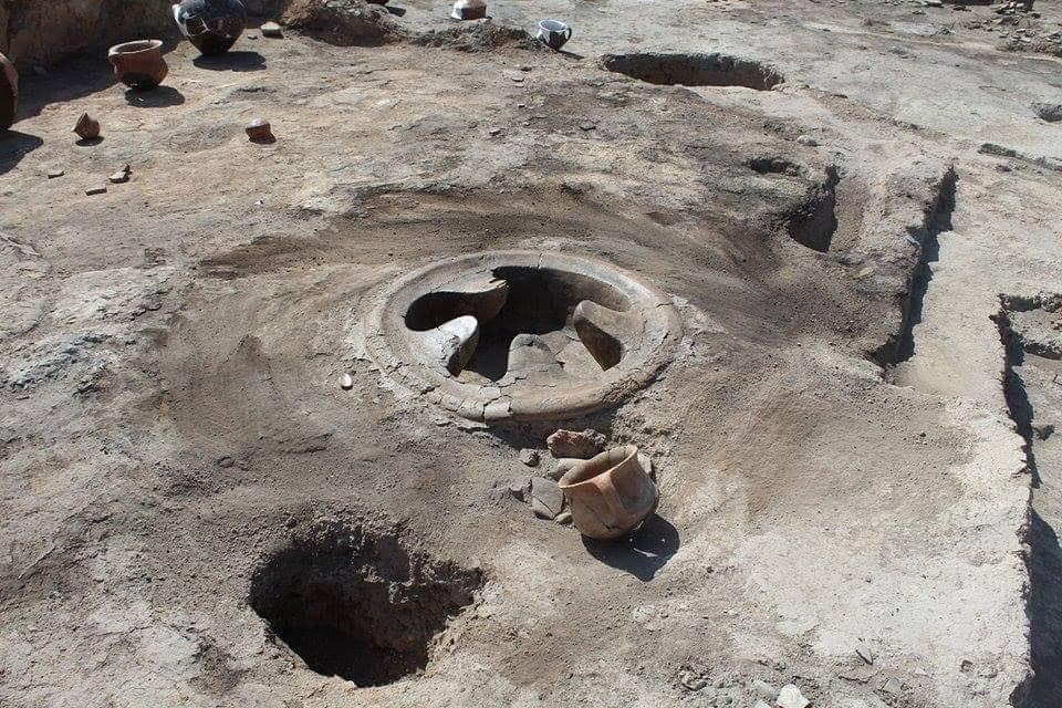 რითი იკვებებოდნენ ქართბელები 3-5 ათასი წლის წინ – ზურაბ ბაუჟაძის ისტორიული ამბავი