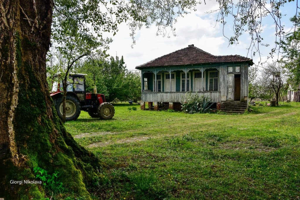 ოდები აბაშიდან – გიორგი ნიკოლავას ფოტორეპორტაჟი - image 4