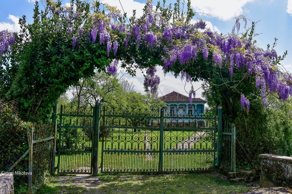 ოდები აბაშიდან – გიორგი ნიკოლავას ფოტორეპორტაჟი - image 11