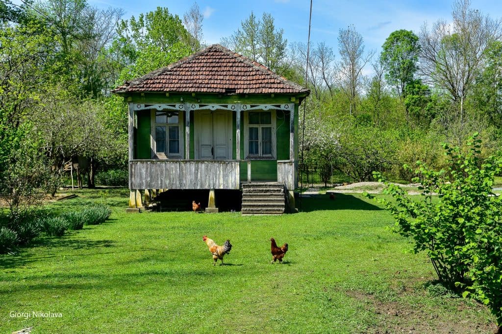 ოდები აბაშიდან – გიორგი ნიკოლავას ფოტორეპორტაჟი - image 12