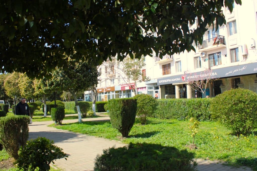 ფოთის მუნიციპალური სერვისების ცენტრი ქალაქის მასშტაბით სხვადასხვა სამუშაოებს ახორციელებს - image 4