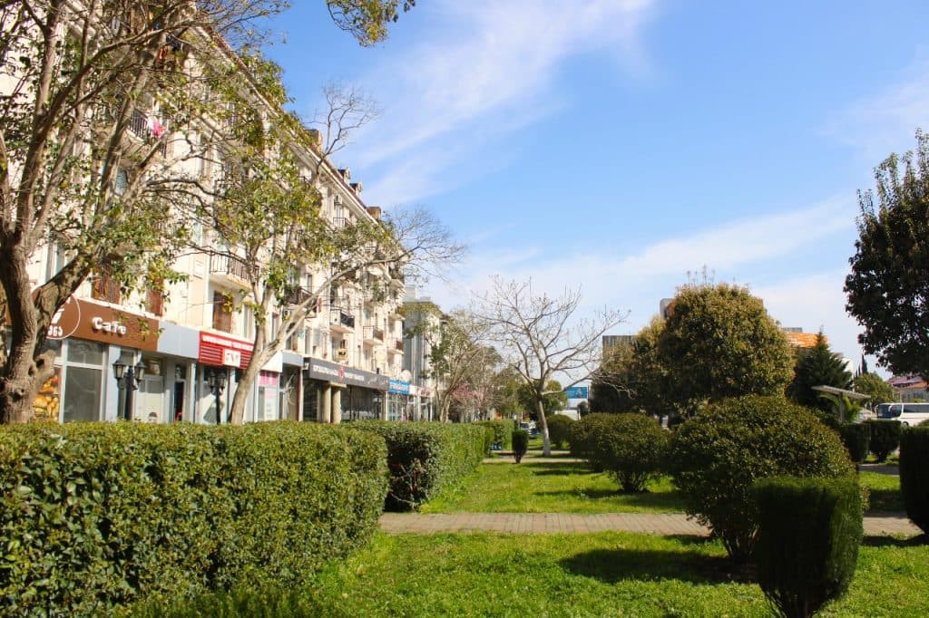 ფოთის მუნიციპალური სერვისების ცენტრი ქალაქის მასშტაბით სხვადასხვა სამუშაოებს ახორციელებს - image 6