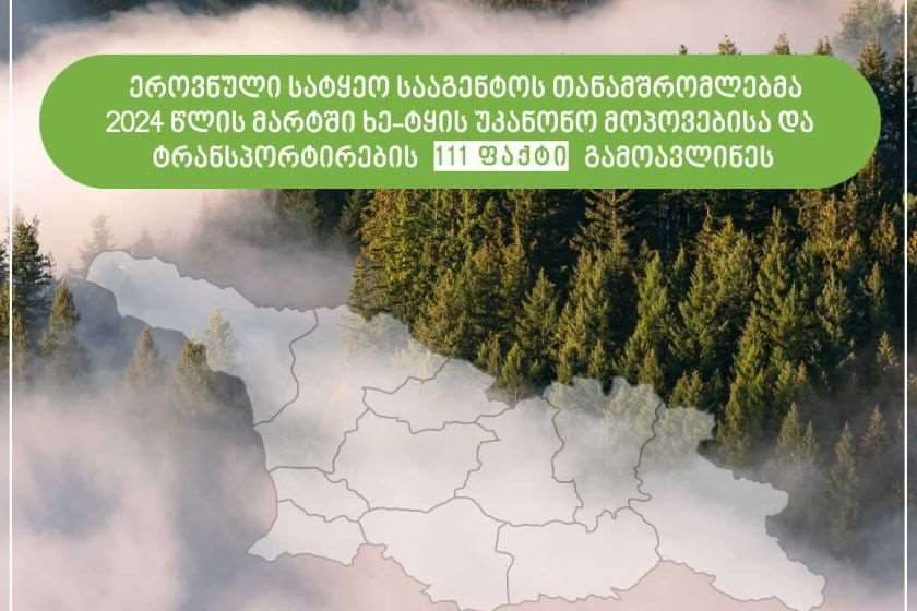 ეროვნული სატყეო სააგენტოს თანამშრომლებმა მიმდინარე წლის მარტში ხე-ტყის უკანონო მოპოვებისა და ტრანსპორტირების 111 ფაქტი გამოავლინეს