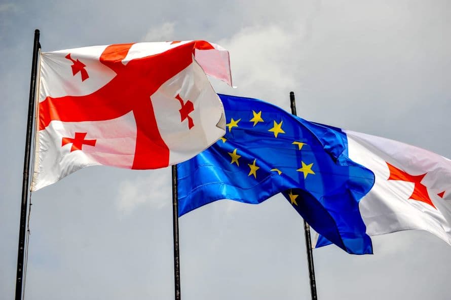 ევროკავშირის დღესთან დაკავშირებით სამეგრელო-ზემო სვანეთის მუნიციპალიტეტები საქართველოს და ევროპის დროშებით მოირთო - image 18