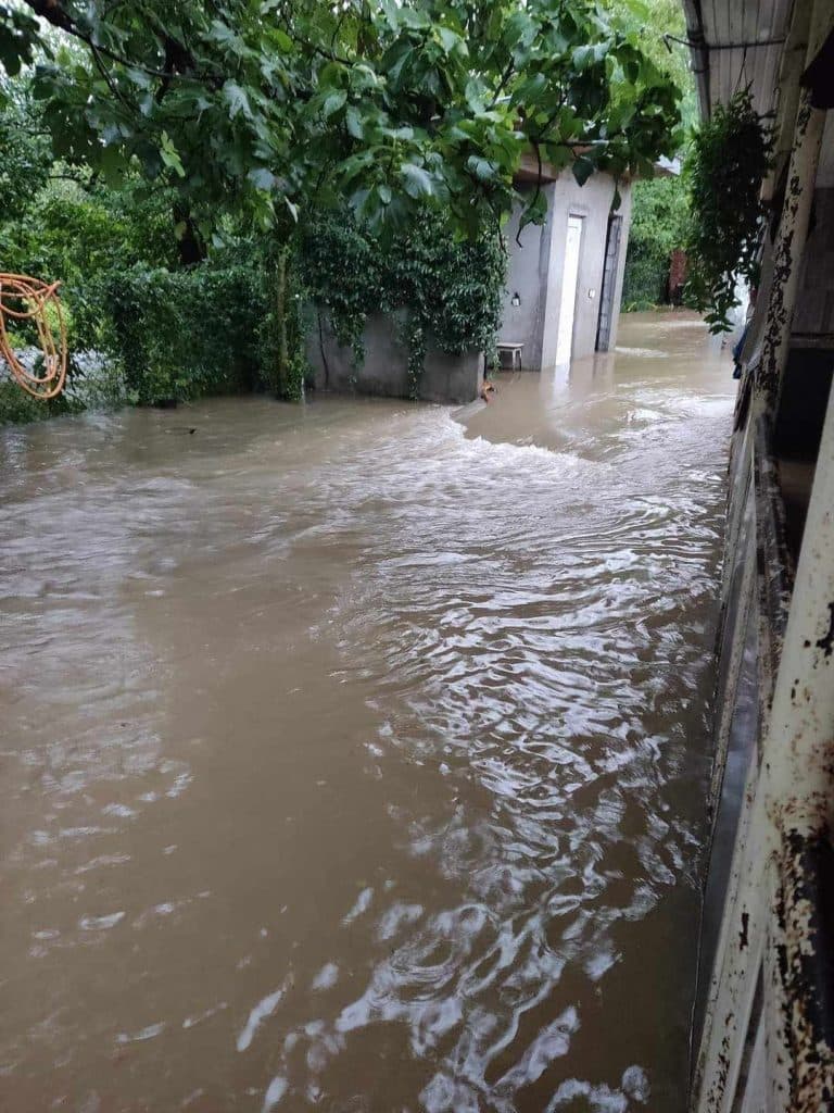 ძლიერმა წვიმამ მარტვილში პრობლემები შექმნა – დაიტბორა საცხოვრებელი სახლების ნაწილი - image 2