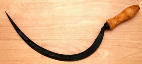 ხობში ძმამ ძმა ნამგლით დაჭრა