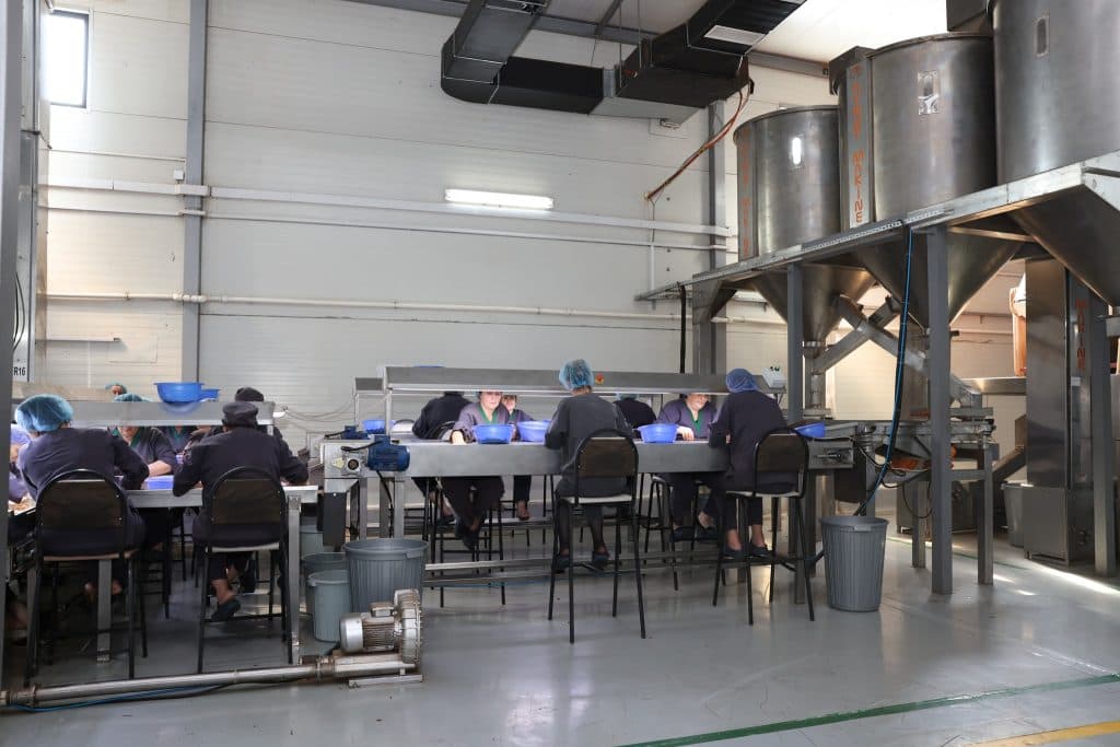 სოფლის მეურნეობის მინისტრი ზუგდიდში მეთხილე ფერმერებს შეხვდა - image 4