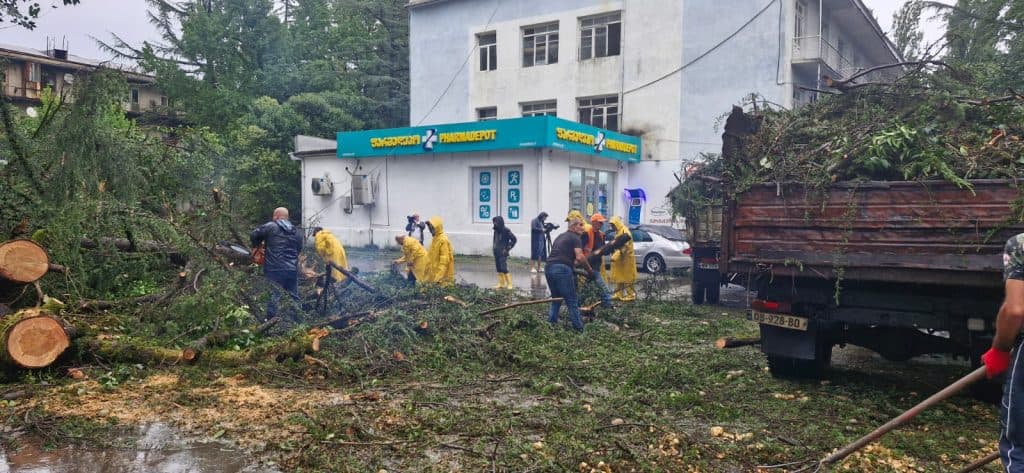 უხვმა ნალექმა და ქარბორბალამ ზუგდიდში პრობლემები შექმნა - image 5