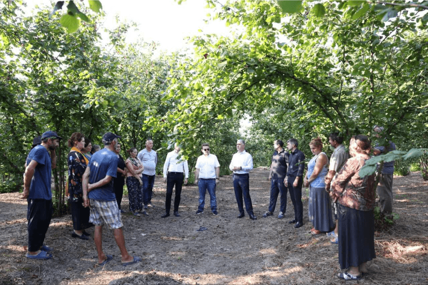 ოთარ შამუგია: წელს მეთხილე ფერმერების შემოსავალი 250 მილიონ ლარზე მეტი იქნება