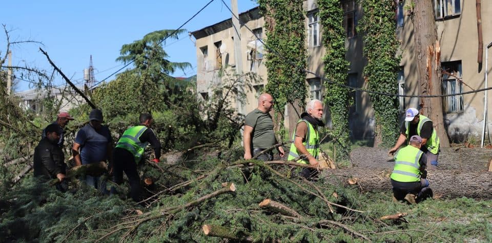 ძლიერმა ქარმა ზუგდიდის მუნიციპალიტეტში სხვადასხვა სახის პრობლემები შექმნა