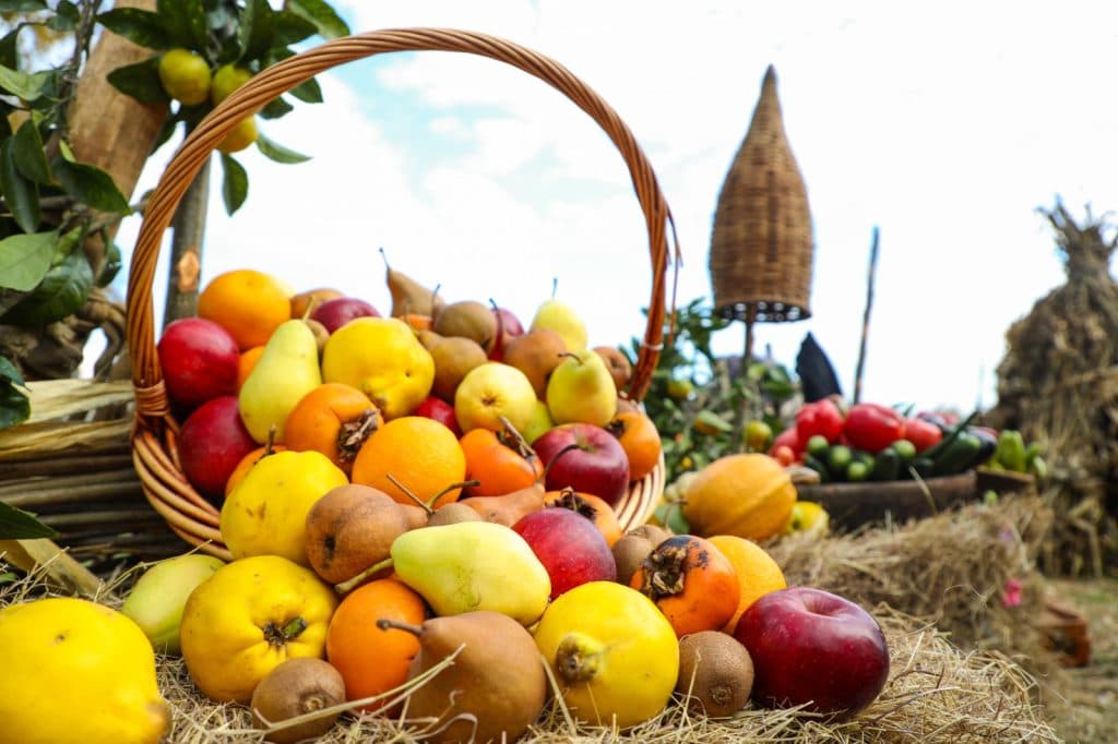 სენაკში „ეგრისობის“ დღესასწაულზე საპატიო მოქალაქის წოდება 13 ადამიანს გადასცეს [ფოტორეპორტაჟი] - image 4