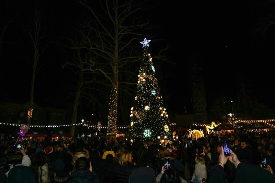 აბაშაში საახალწლო ღონისძიება გაიმართა