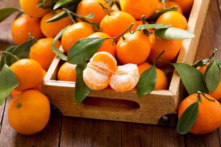 რუსეთმა ოკუპირებული აფხაზეთიდან მანდარინის იმპორტი აკრძალა