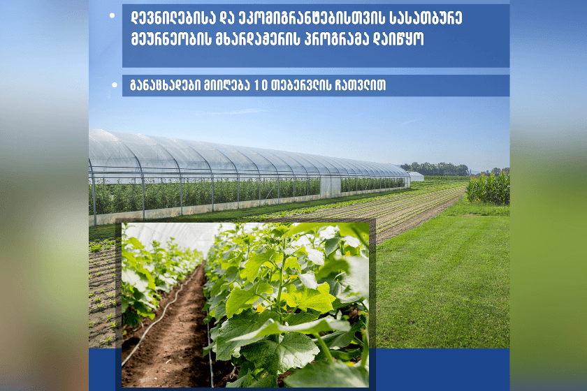 დევნილებისა და ეკომიგრანტებისთვის სასათბურე მეურნეობის მხარდაჭერის პროგრამა დაიწყო