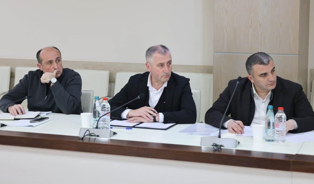 საქართველოს მთავრობის ადმინისტრაციის რეგიონებთან ურთიერთობის დეპარტამენტის უფროსი ნიკა ტყემალაძე სახელმწიფო რწმუნებულებს შეხვდა - image 3