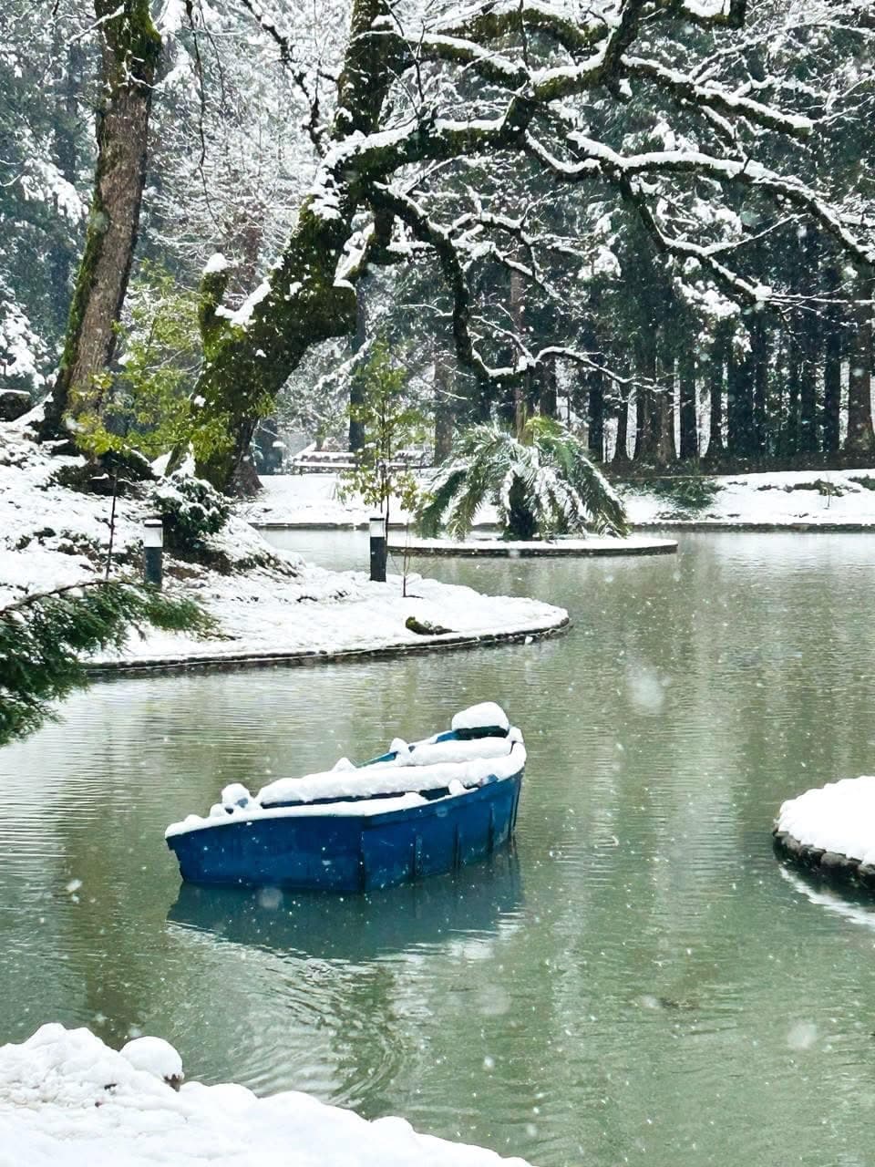 დათოვლილი ზუგდიდი [ფოტორეპორტაჟი]