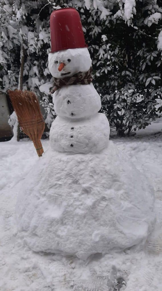 თოვლის ბაბუები ფოთიდან [ფოტორეპორტაჟი] - image 12