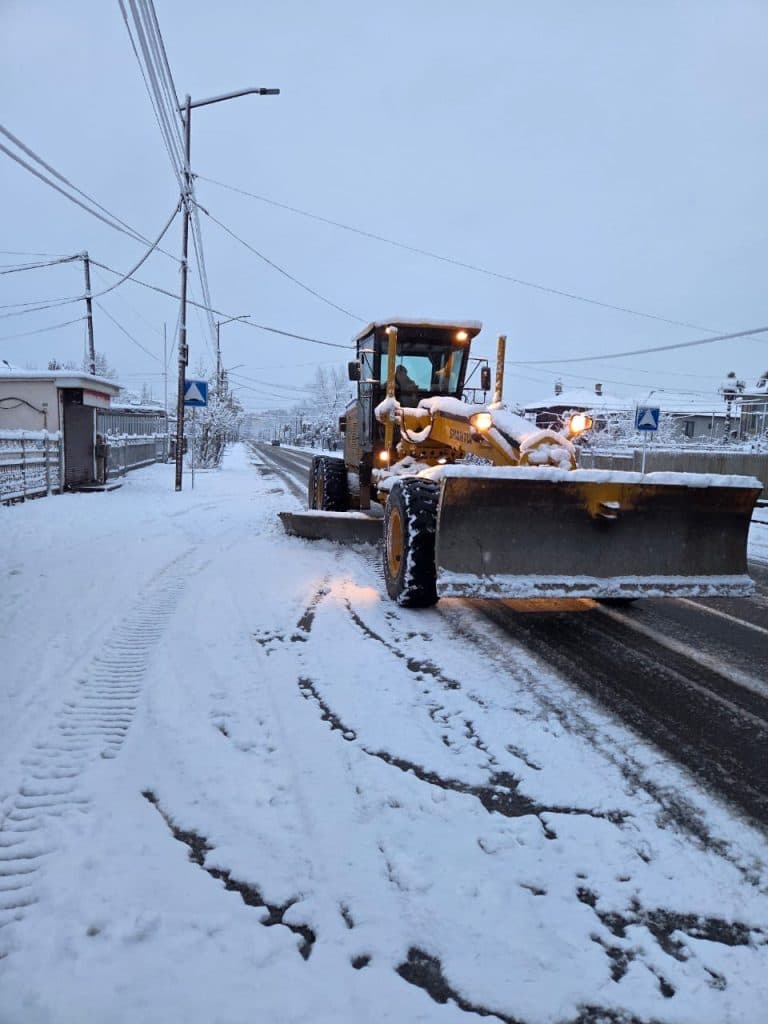 ზუგდიდში გაწმენდით სამუშაოებში ტექნიკასთან ერთად ცოცხალი ძალაც მონაწილეობს - image 4