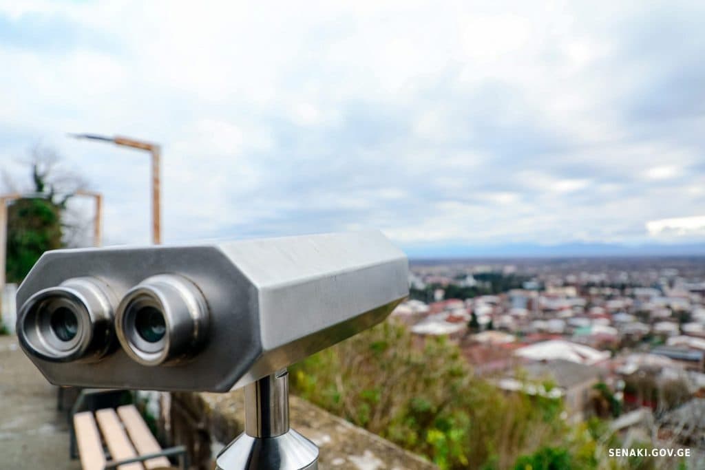 სენაკში რუხი ყანჩების ბუდობის ადგილას ბინოკლი განთავსდა [ფოტო] - image 5