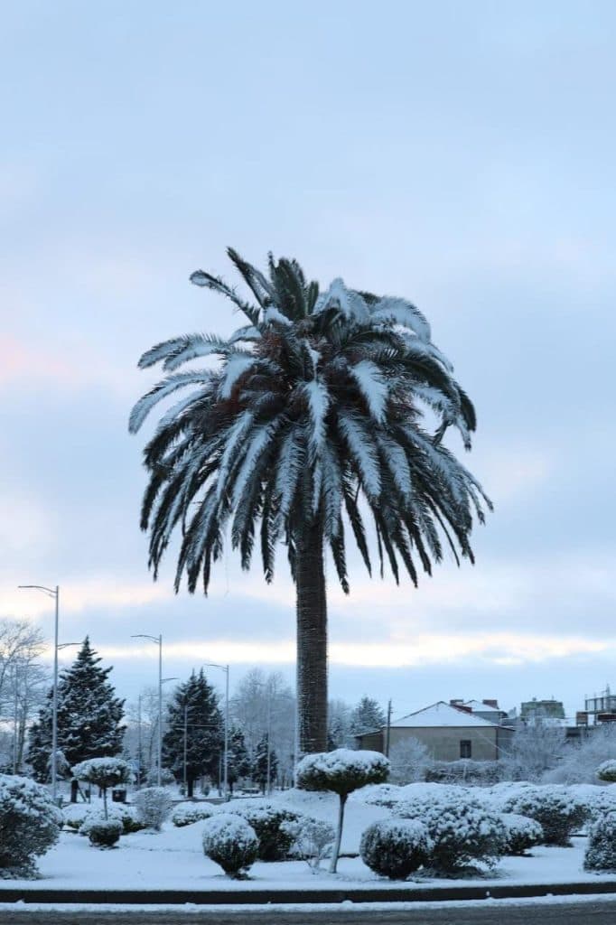 დათოვლილი საქართველოს კარიბჭე [ფოტორეპორტაჟი] - image 14