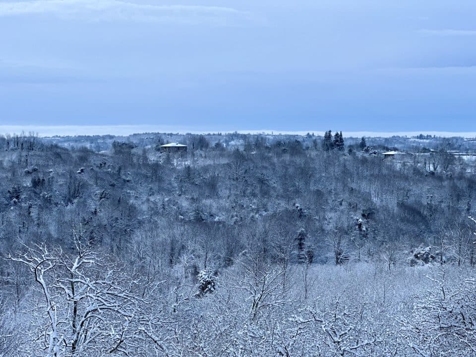 ზუგდიდის 7 სკოლაში სასწავლო პრპცესი გადაიდო