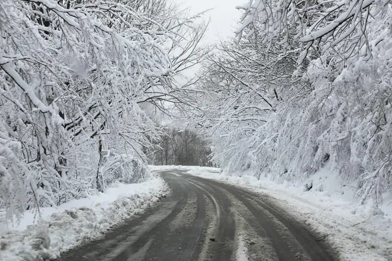 დიდთოვლობის შედეგად დაზარალებული მოსახლეობის დახმარების პროცესში თავდაცვის ძალები ერთვება