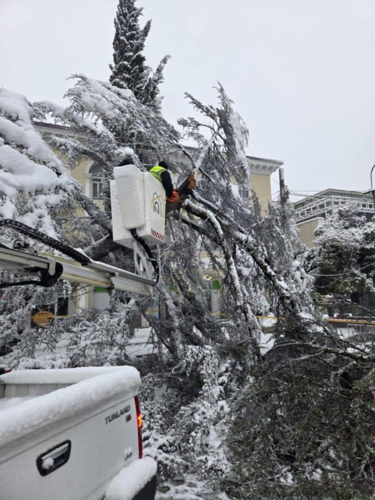 ზუგდიდის მერია: მიმდონარეობს სოფლის შიდა გზების გაწმენდითი სამუშაოები - image 4