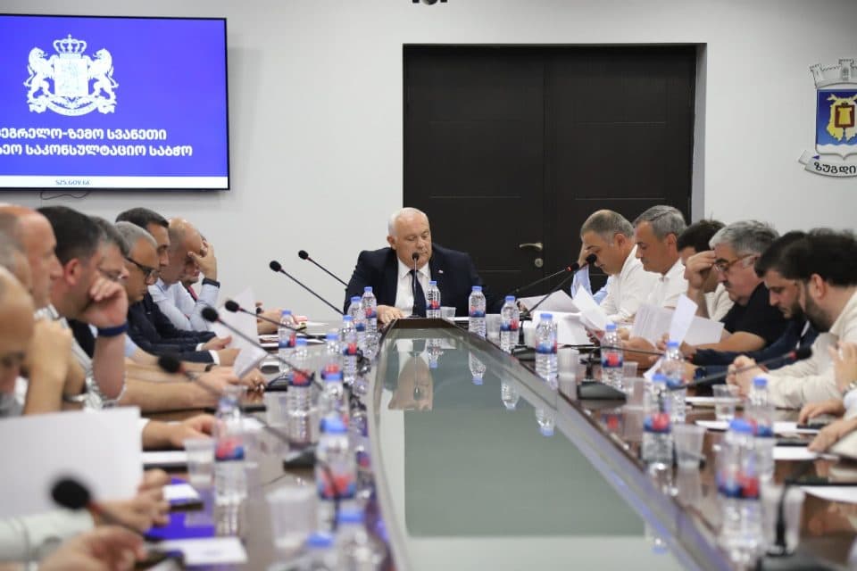 რეგიონის საკონსულტაციო საბჭოზე სამი მუნიციპალიტეტის 12 პროექტის განხილვა მოხდა