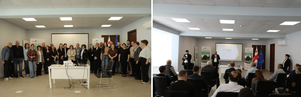 „ერთად მწვანე ქალაქებისთვის“ – რას მოიცავს პროექტი - image 2