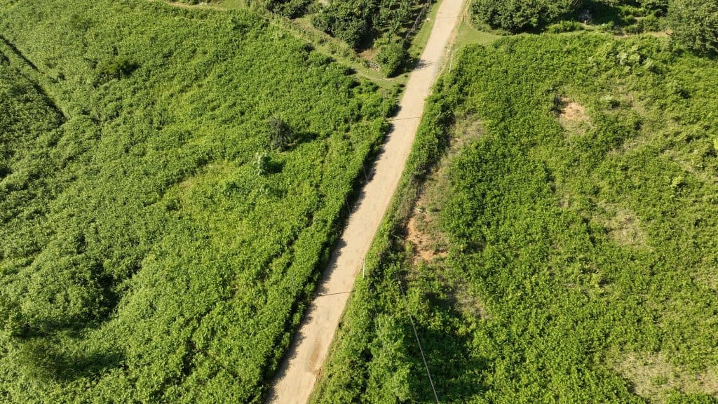 ინფრასტრუქტურის მინისტრი ნაკიფუ-ულრიას გზის მდგომარეობას გაეცნო - image 3