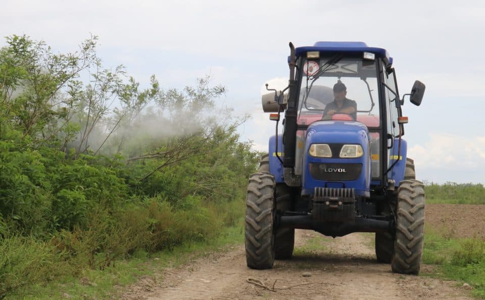 სეს: ფაროსანას საწინააღმდეგოდ ტყის პერიმეტრები მუშავდება, „ანჯელის მასივეში“ უკვე დამუშავდა 720 ჰა ტყის მიმდებარე ტერიტორია