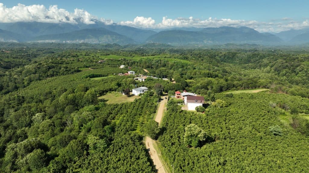 ინფრასტრუქტურის მინისტრი ნაკიფუ-ულრიას გზის მდგომარეობას გაეცნო - image 5