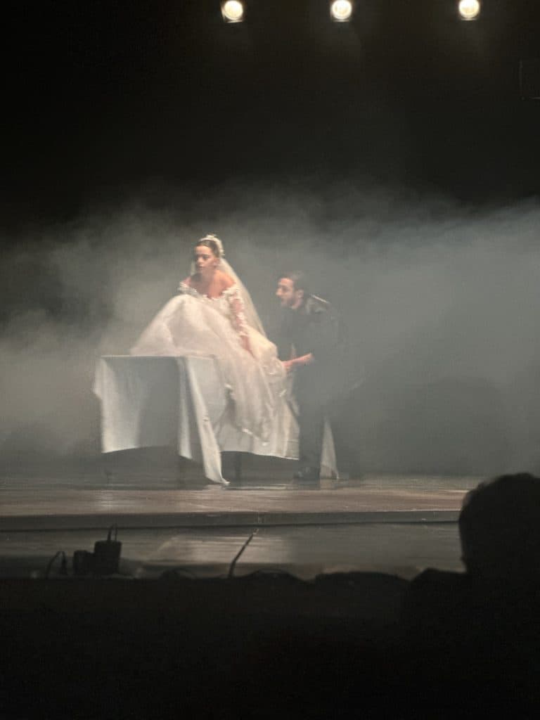 ,,ბილეთი უკანასკნელი წარმოდგენისთვის” – ზუგდიდის თეატრი მაყურებლის წინაშე პრემიერით წარდგა [ფოტო] - image 5