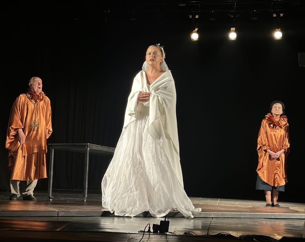 ,,ბილეთი უკანასკნელი წარმოდგენისთვის” – ზუგდიდის თეატრი მაყურებლის წინაშე პრემიერით წარდგა [ფოტო] - image 7