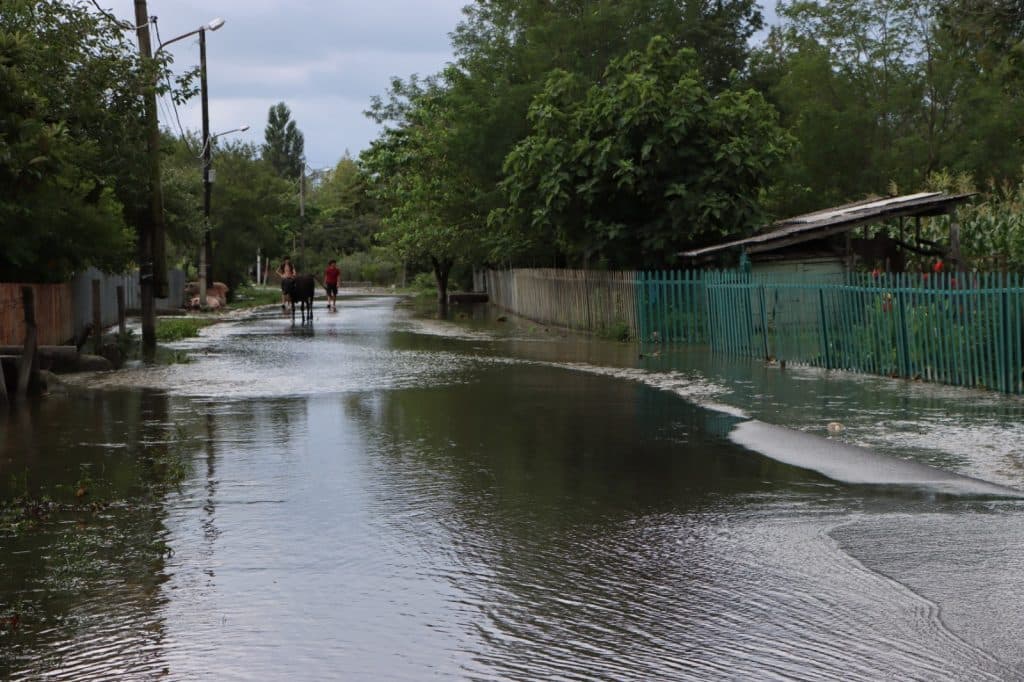 აბაშაში უხვმა ნალექმა პრობლემები შექმნა - image 5