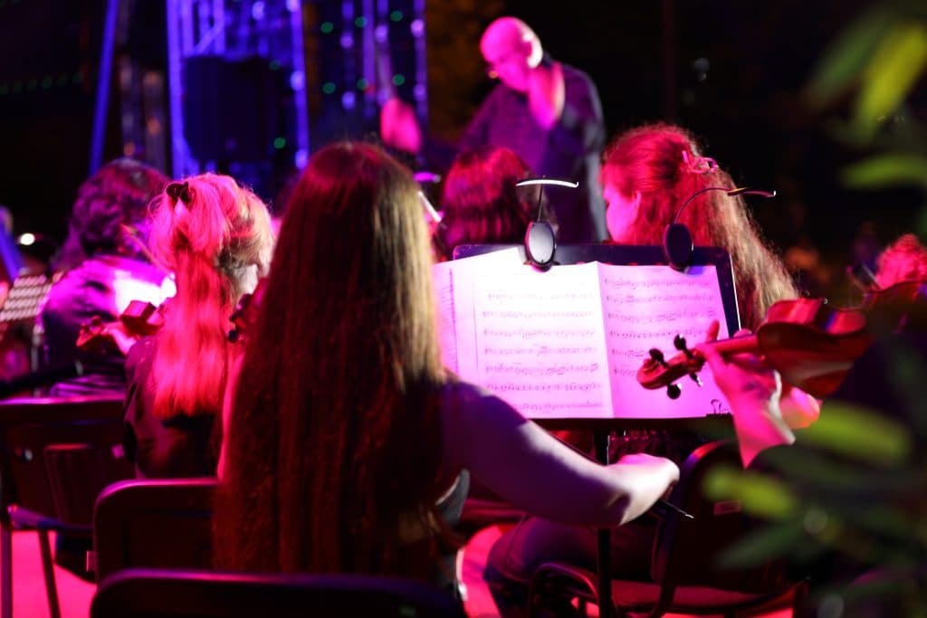 ზუგდიდში კლასიკური მუსიკის ფესტივალზე ოპერის მსოფლიო დონის შემსრულებლებმა იმღერეს [ფოტო] - image 5